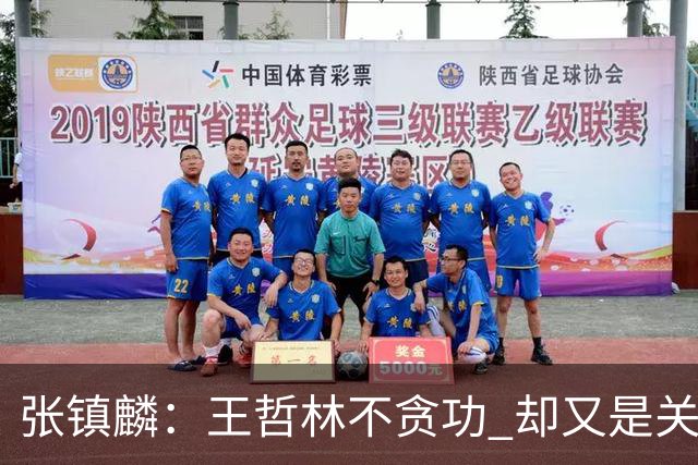 张镇麟：王哲林不贪功 却又是关键时刻能站出来的人 队长当之无愧