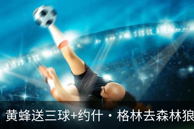 黄蜂送三球+约什·格林去森林狼 换里德+1首轮+3互换+3次轮